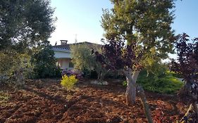 La Civetta Rodonisa