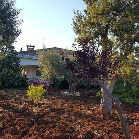 Villa La Civetta Rodonisa à Conversano Extérieur photo