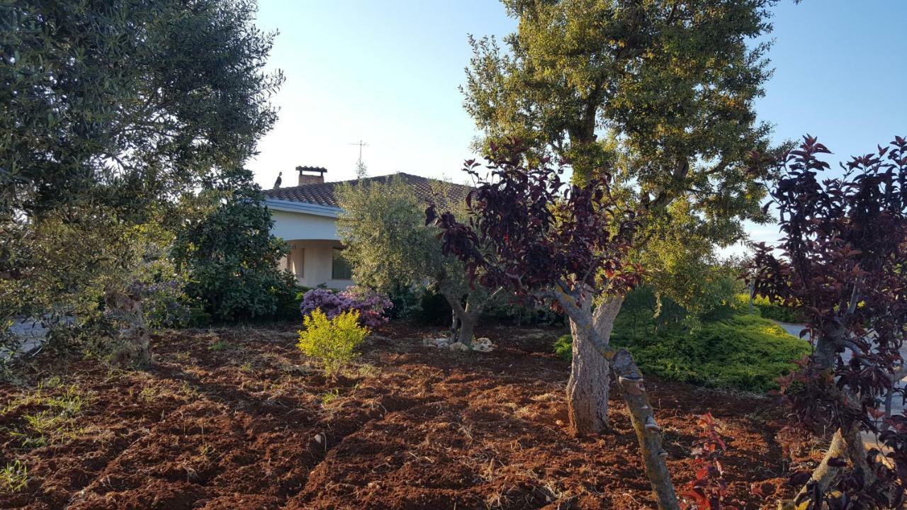 Villa La Civetta Rodonisa à Conversano Extérieur photo