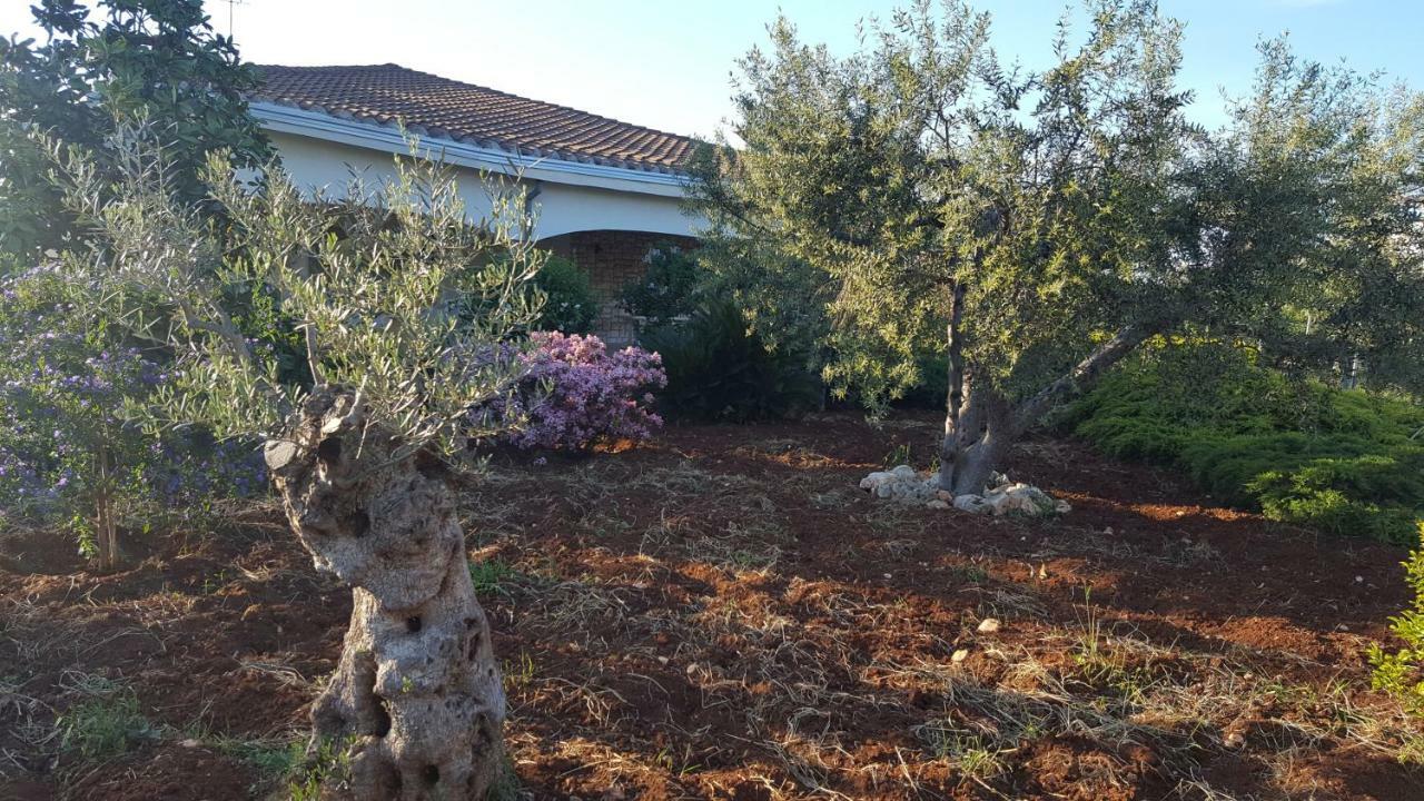 Villa La Civetta Rodonisa à Conversano Extérieur photo